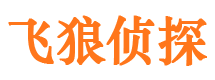 九龙坡市私家侦探